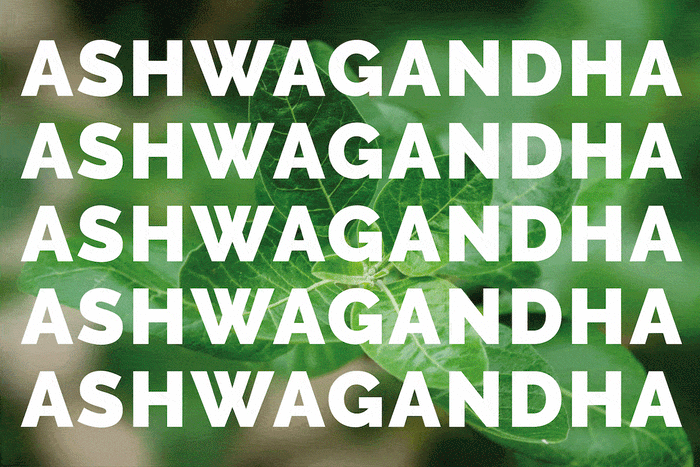 Ashwagandha, Winter Cherry, Indian Ginseng... What Is It?