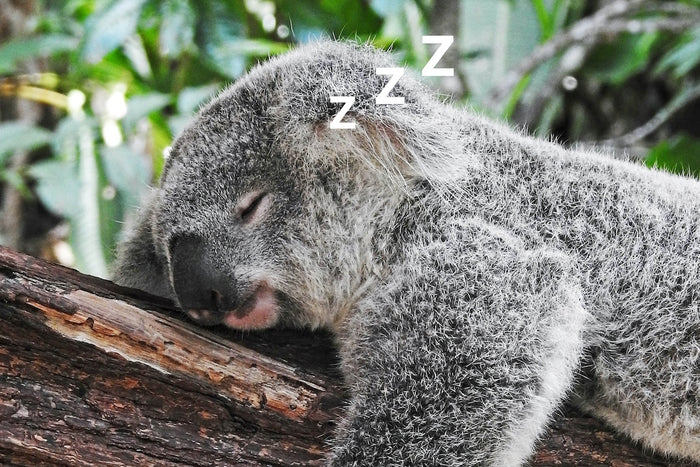 How to Boost Your Sleep Hygiene for a Better Night’s Rest