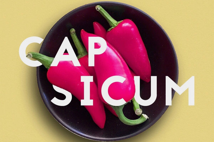 capsicum by innermost