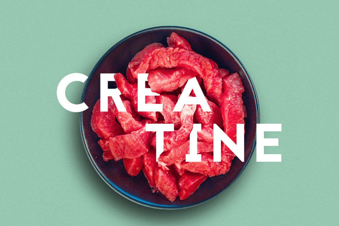 Innermost creatine bowl 