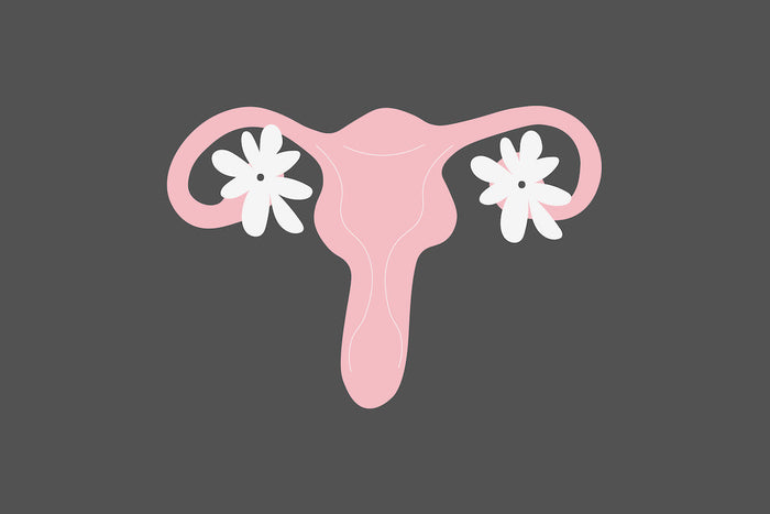 Endometriosis 101: Symptoms, Management & Diet