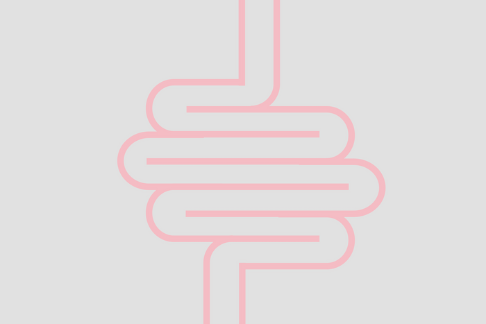 Four High Fibre Foods You Need To Help Support Your Health And Digestion