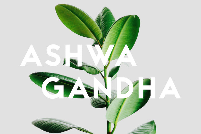 How Does Ashwagandha Help You To Relax?