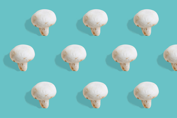 Are Japanese Mushrooms Both The Past And Future Of Wellness?