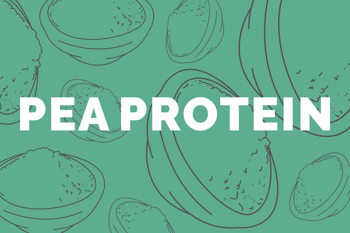pea protein by innermost