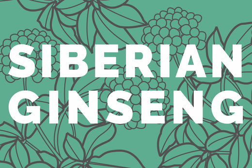 Siberian Ginseng: The Herbal Supplement You Need In Your Life