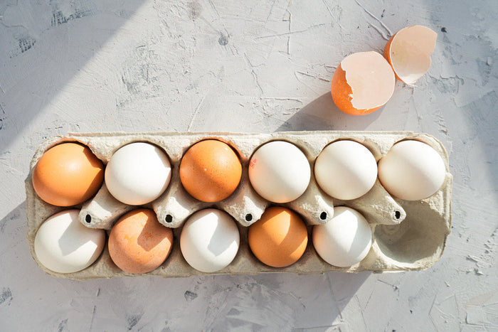 Yolks vs Whites: Who Wins This Nutrition Battle?